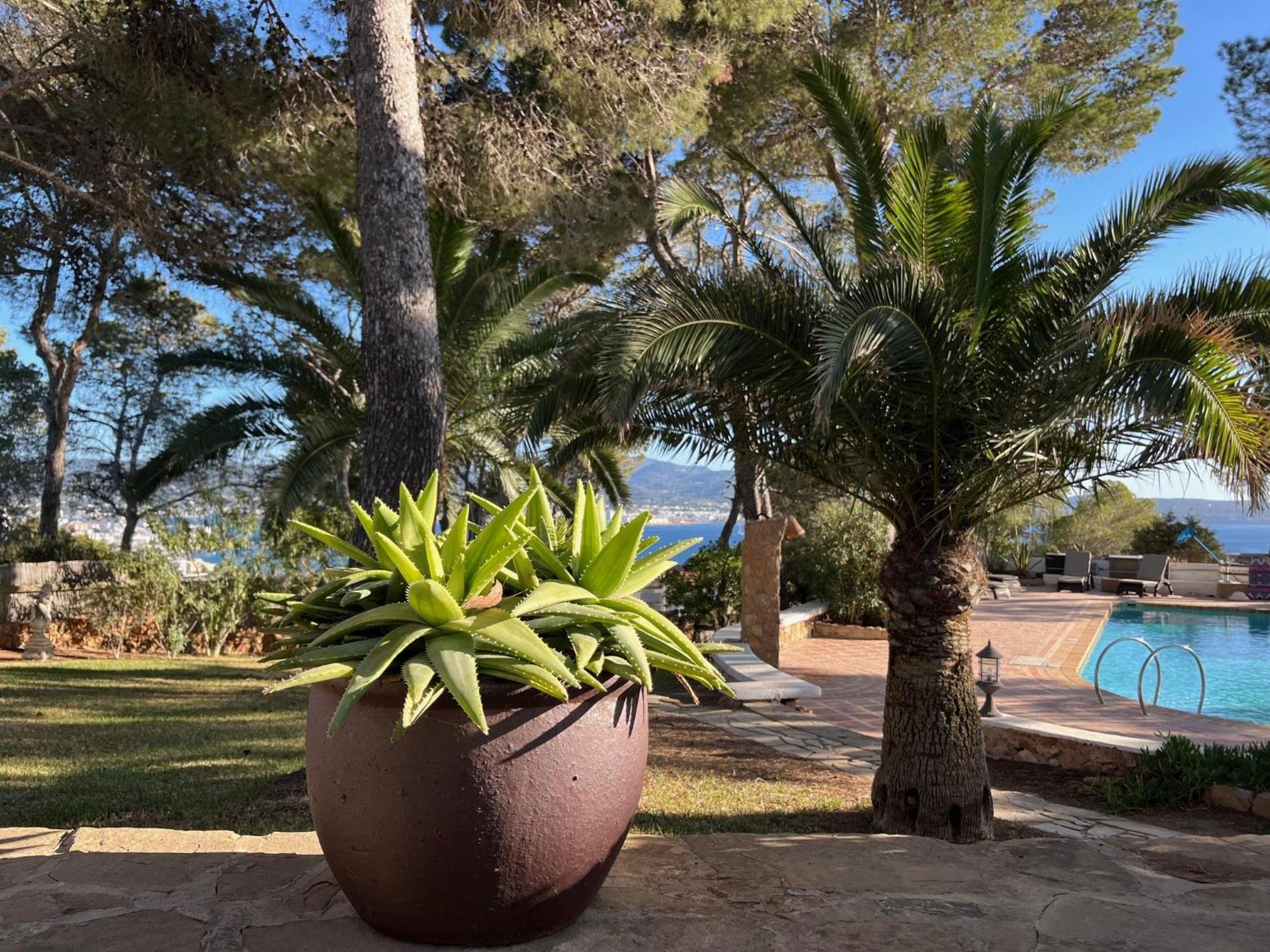 Colina Ibiza Villa