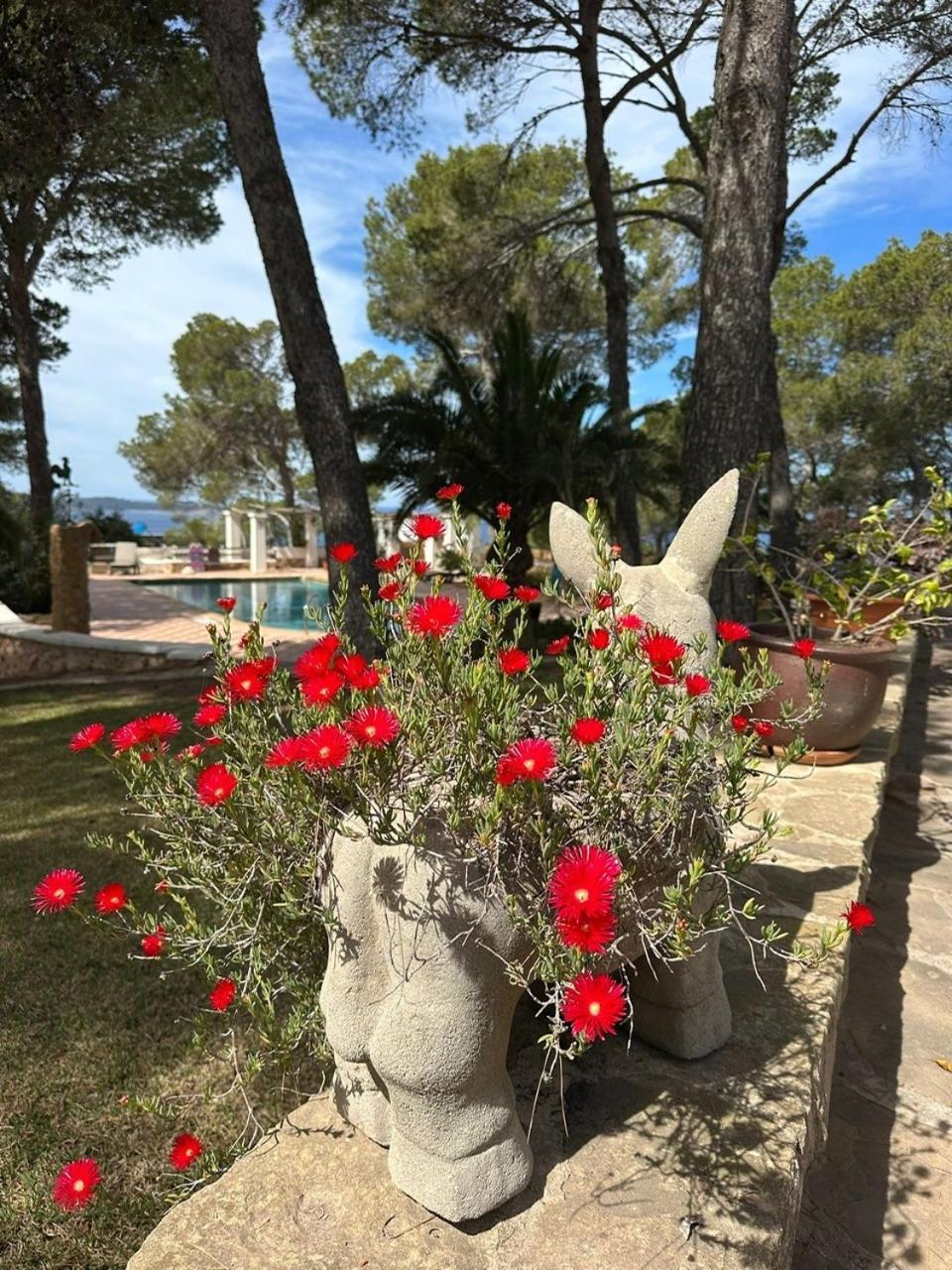Pousada Colina Ibiza *